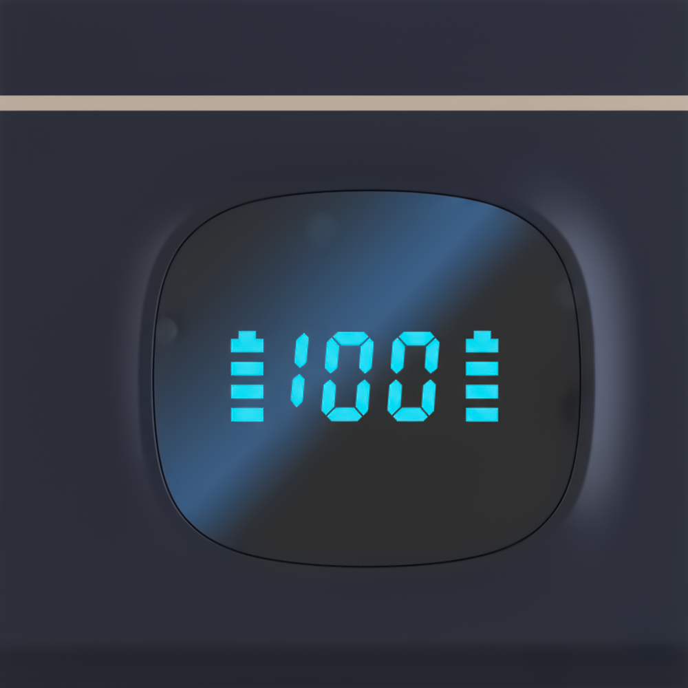 BEME Mic Go 2 Professional Wireless Mic With Dual Microphone