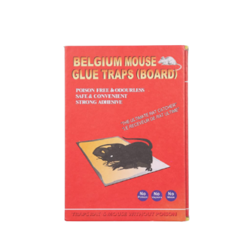 Belgium Mouse Glue Traps (Board)