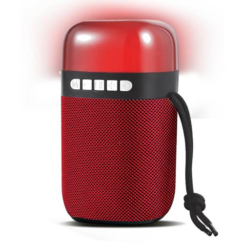 Audionic ROKO Portable Mobile Speaker