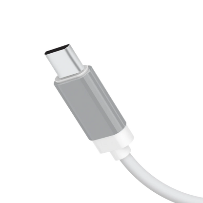 Audionic S-80 Type C 2.1 Dual USB Port Charger