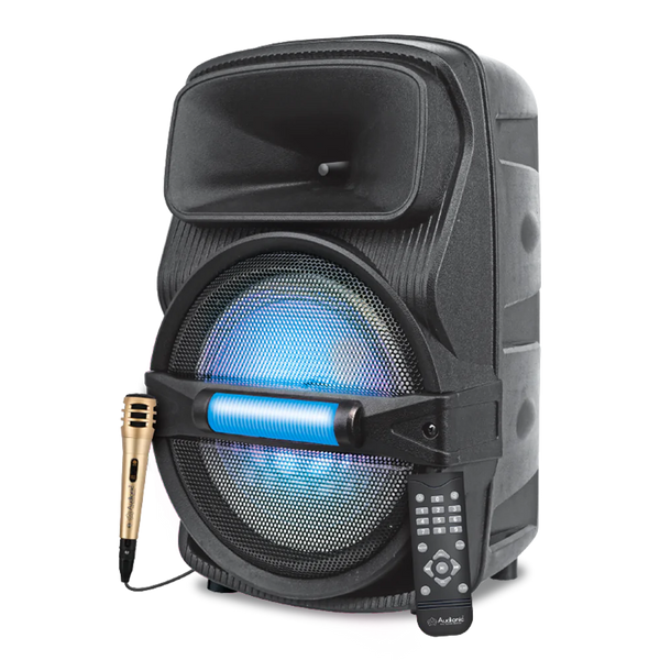 Audionic car deals speakers